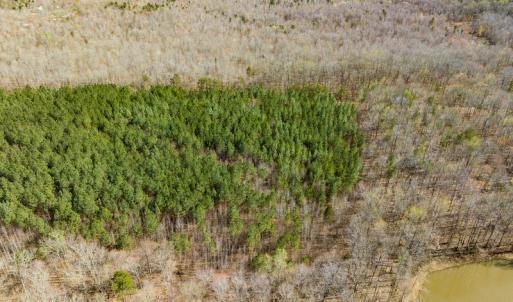 Photo #16 of SOLD property in Off Mace Road, Mebane, NC 19.1 acres