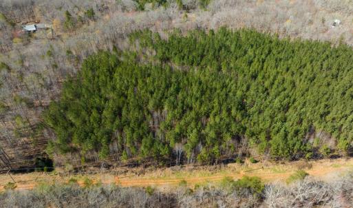 Photo #18 of SOLD property in Off Mace Road, Mebane, NC 19.1 acres