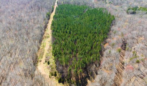 Photo #19 of SOLD property in Off Mace Road, Mebane, NC 19.1 acres