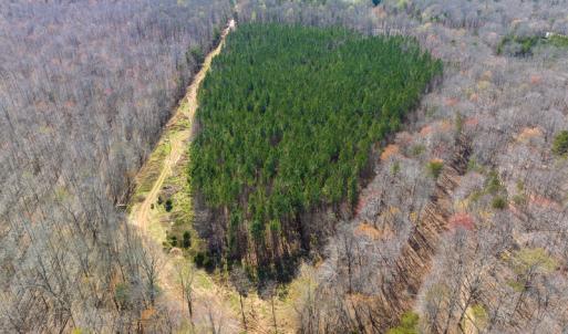 Photo #21 of SOLD property in Off Mace Road, Mebane, NC 19.1 acres