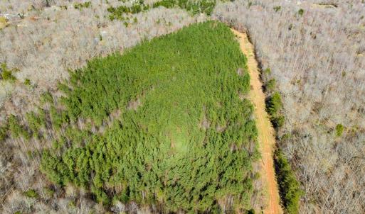 Photo #22 of SOLD property in Off Mace Road, Mebane, NC 19.1 acres