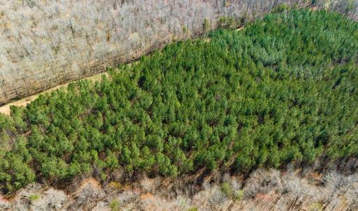 Photo #23 of SOLD property in Off Mace Road, Mebane, NC 19.1 acres