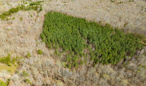 Photo #24 of SOLD property in Off Mace Road, Mebane, NC 19.1 acres