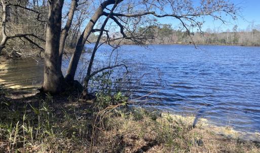 Photo #6 of 5349 Pearces Rd, Zebulon, NC 5.0 acres