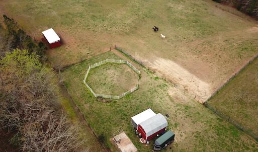 Photo #7 of SOLD property in 13504 Scotts Rd , Dewitt, VA 88.0 acres