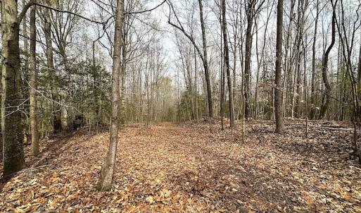 Photo #19 of SOLD property in 13504 Scotts Rd , Dewitt, VA 88.0 acres