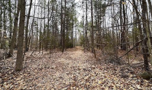 Photo #20 of SOLD property in 13504 Scotts Rd , Dewitt, VA 88.0 acres