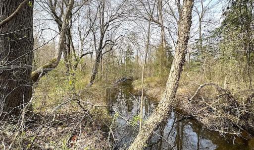 Photo #22 of SOLD property in 13504 Scotts Rd , Dewitt, VA 88.0 acres