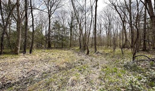 Photo #26 of SOLD property in 13504 Scotts Rd , Dewitt, VA 88.0 acres