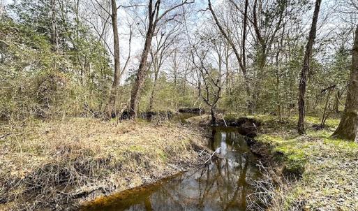 Photo #27 of SOLD property in 13504 Scotts Rd , Dewitt, VA 88.0 acres