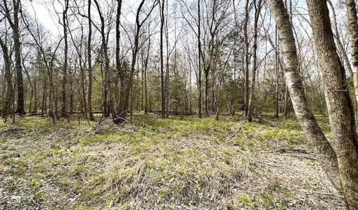 Photo #28 of SOLD property in 13504 Scotts Rd , Dewitt, VA 88.0 acres