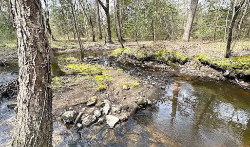 Photo #29 of SOLD property in 13504 Scotts Rd , Dewitt, VA 88.0 acres