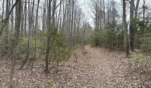 Photo #32 of SOLD property in 13504 Scotts Rd , Dewitt, VA 88.0 acres