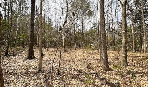 Photo #34 of SOLD property in 13504 Scotts Rd , Dewitt, VA 88.0 acres