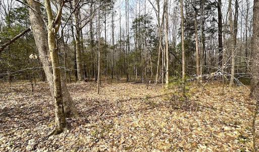 Photo #35 of SOLD property in 13504 Scotts Rd , Dewitt, VA 88.0 acres