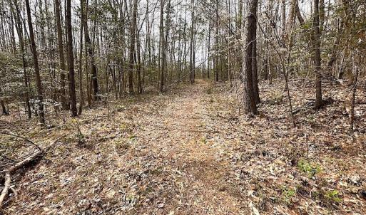 Photo #36 of SOLD property in 13504 Scotts Rd , Dewitt, VA 88.0 acres