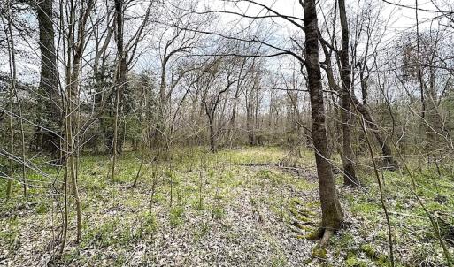 Photo #37 of SOLD property in 13504 Scotts Rd , Dewitt, VA 88.0 acres
