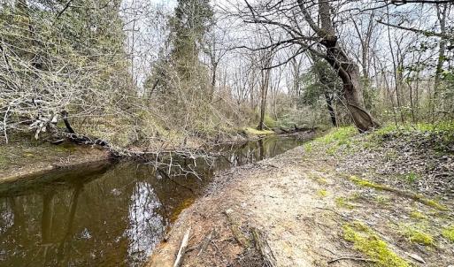 Photo #38 of SOLD property in 13504 Scotts Rd , Dewitt, VA 88.0 acres