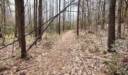 Photo #43 of SOLD property in 13504 Scotts Rd , Dewitt, VA 88.0 acres