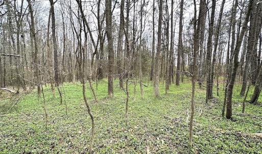 Photo #44 of SOLD property in 13504 Scotts Rd , Dewitt, VA 88.0 acres