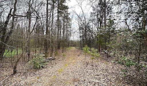 Photo #46 of SOLD property in 13504 Scotts Rd , Dewitt, VA 88.0 acres