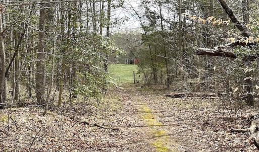 Photo #47 of SOLD property in 13504 Scotts Rd , Dewitt, VA 88.0 acres