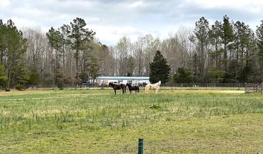 Photo #51 of SOLD property in 13504 Scotts Rd , Dewitt, VA 88.0 acres