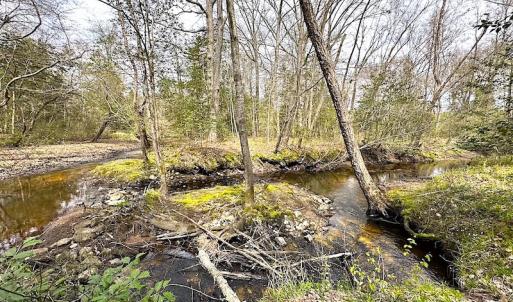 Photo #5 of SOLD property in 13504 Scotts Rd , Dewitt, VA 88.0 acres
