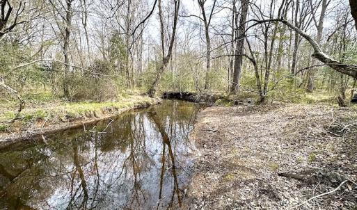 Photo #6 of SOLD property in 13504 Scotts Rd , Dewitt, VA 88.0 acres