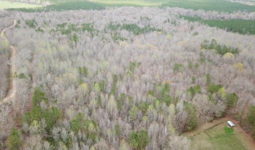 Photo #25 of SOLD property in 13504 Scotts Rd , Dewitt, VA 88.0 acres