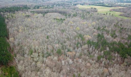 Photo #39 of SOLD property in 13504 Scotts Rd , Dewitt, VA 88.0 acres