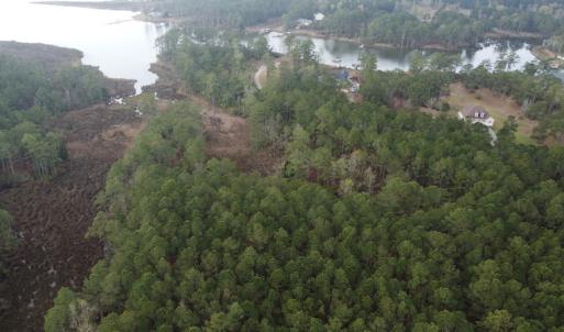 Photo #3 of SOLD property in Off McGowan Rd., Bath, NC 5.9 acres