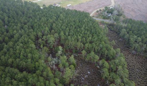 Photo #8 of SOLD property in Off McGowan Rd., Bath, NC 5.9 acres
