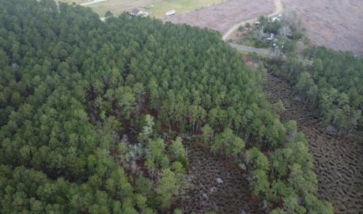 Photo #8 of SOLD property in Off McGowan Rd., Bath, NC 5.9 acres