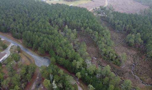 Photo #9 of SOLD property in Off McGowan Rd., Bath, NC 5.9 acres