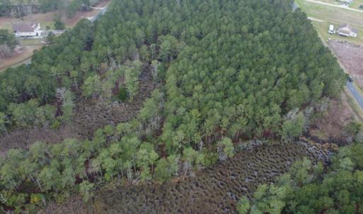 Photo #10 of SOLD property in Off McGowan Rd., Bath, NC 5.9 acres