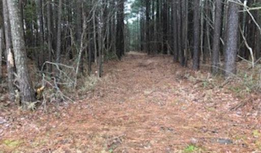 Photo #16 of SOLD property in Off McGowan Rd., Bath, NC 5.9 acres