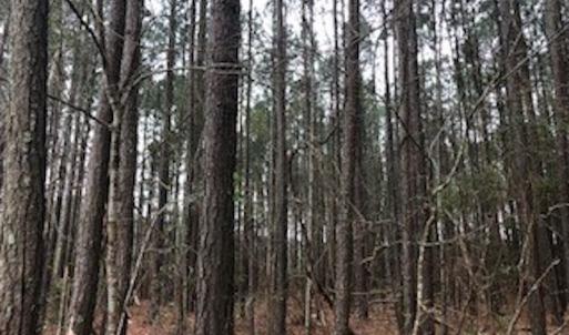 Photo #17 of SOLD property in Off McGowan Rd., Bath, NC 5.9 acres