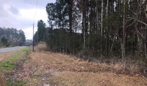 Photo #21 of SOLD property in Off McGowan Rd., Bath, NC 5.9 acres