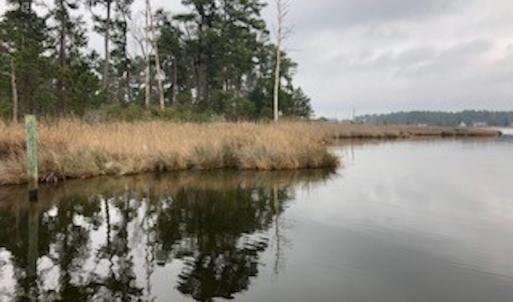 Photo #22 of SOLD property in Off McGowan Rd., Bath, NC 5.9 acres
