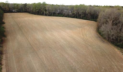Photo #8 of SOLD property in 11219 Old Suffolk Rd, Windsor, VA 23.0 acres