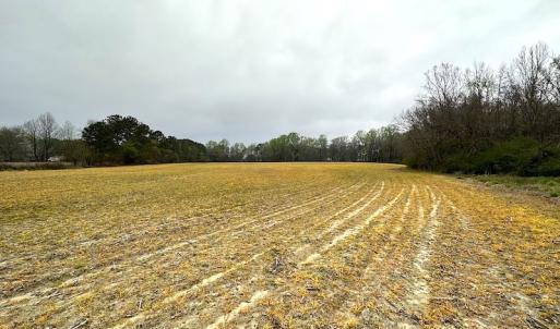 Photo #38 of SOLD property in 11219 Old Suffolk Rd, Windsor, VA 23.0 acres