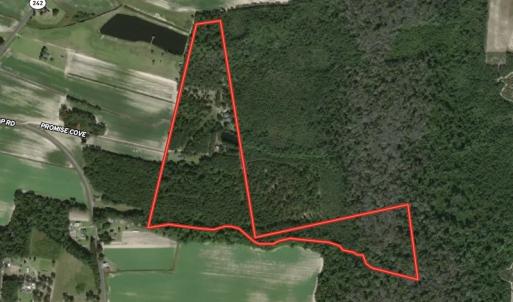 Photo #48 of SOLD property in 388 & 268 Promise Cove Rd, Elizabethtown, NC 40.0 acres