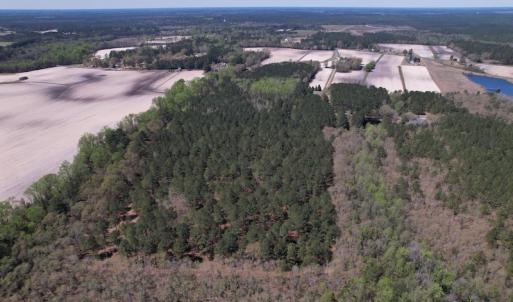 Photo #42 of SOLD property in 388 & 268 Promise Cove Rd, Elizabethtown, NC 40.0 acres
