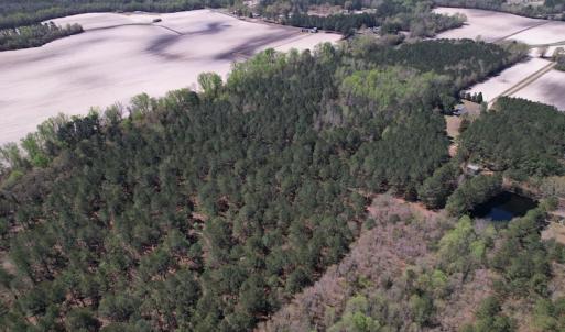 Photo #43 of SOLD property in 388 & 268 Promise Cove Rd, Elizabethtown, NC 40.0 acres