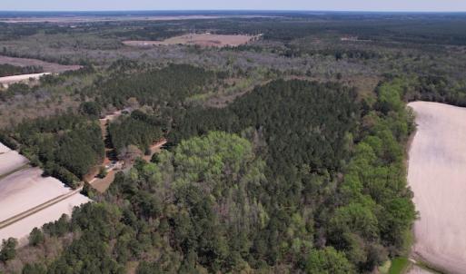 Photo #44 of SOLD property in 388 & 268 Promise Cove Rd, Elizabethtown, NC 40.0 acres