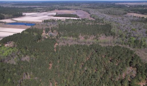 Photo #45 of SOLD property in 388 & 268 Promise Cove Rd, Elizabethtown, NC 40.0 acres