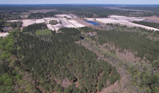 Photo #46 of SOLD property in 388 & 268 Promise Cove Rd, Elizabethtown, NC 40.0 acres