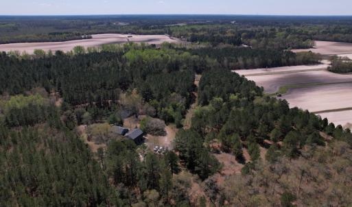 Photo #41 of SOLD property in 388 & 268 Promise Cove Rd, Elizabethtown, NC 40.0 acres