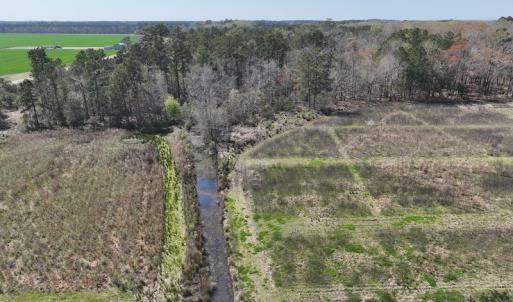 Photo #33 of SOLD property in 105 Vanhorne Road, Columbia, NC 7.4 acres